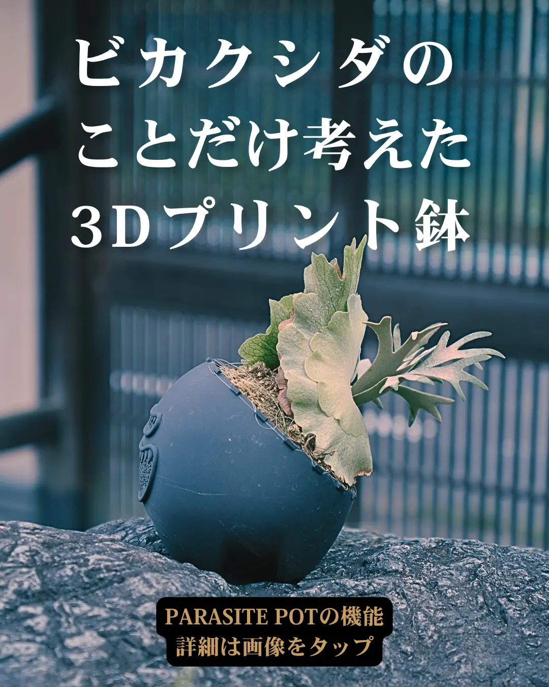 PARASITE POT - Enter the Shop