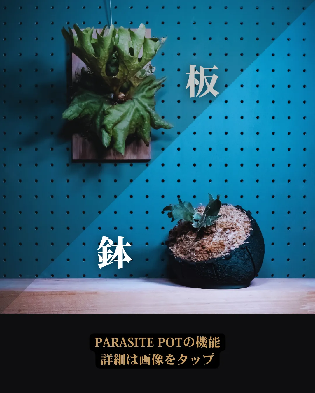 PARASITE POT - Enter the Shop