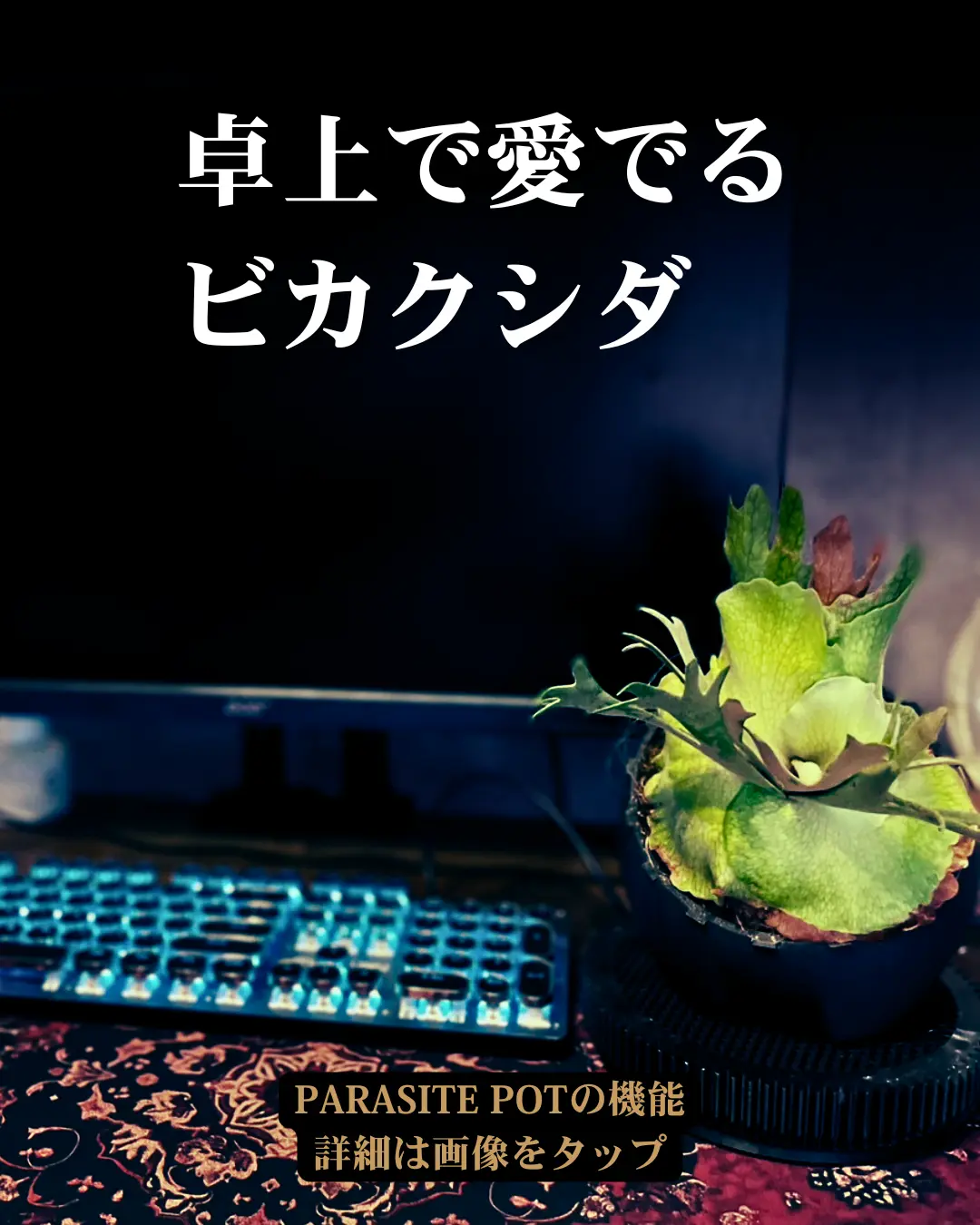 PARASITE POT - Enter the Shop