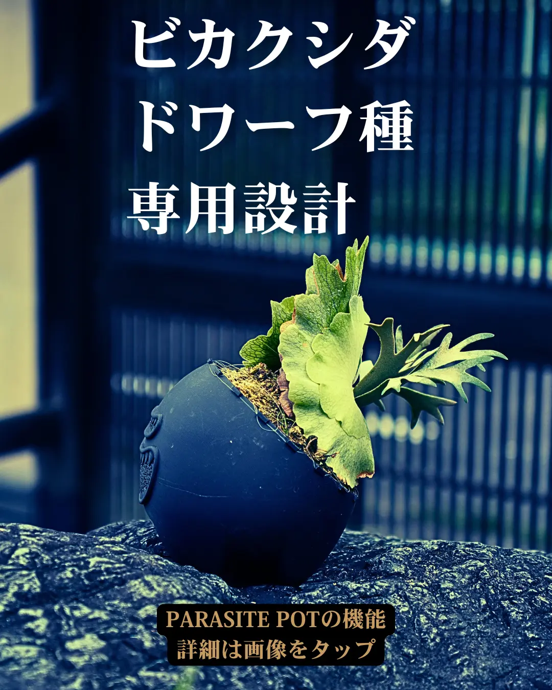 PARASITE POT - Enter the Shop