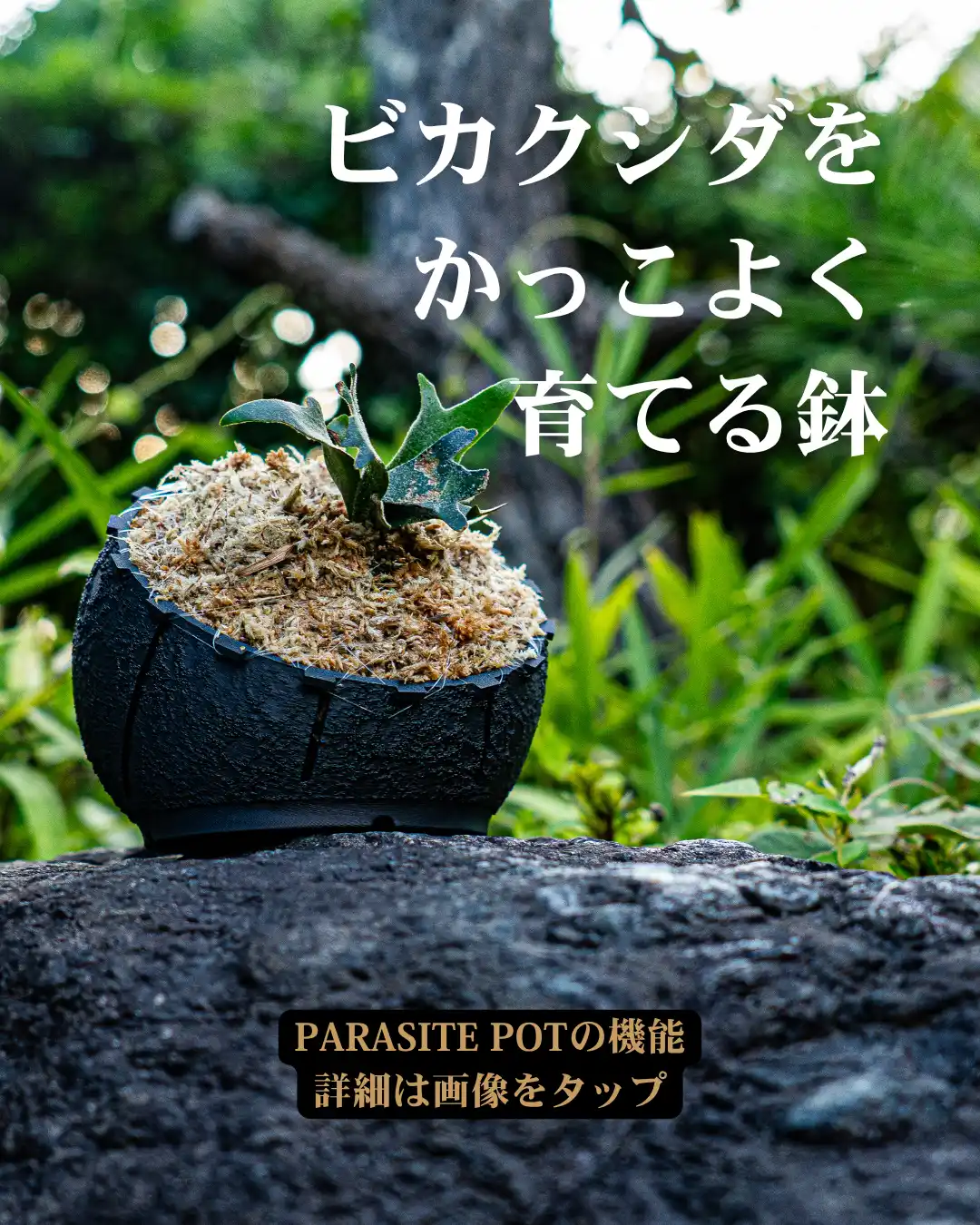 PARASITE POT - Enter the Shop