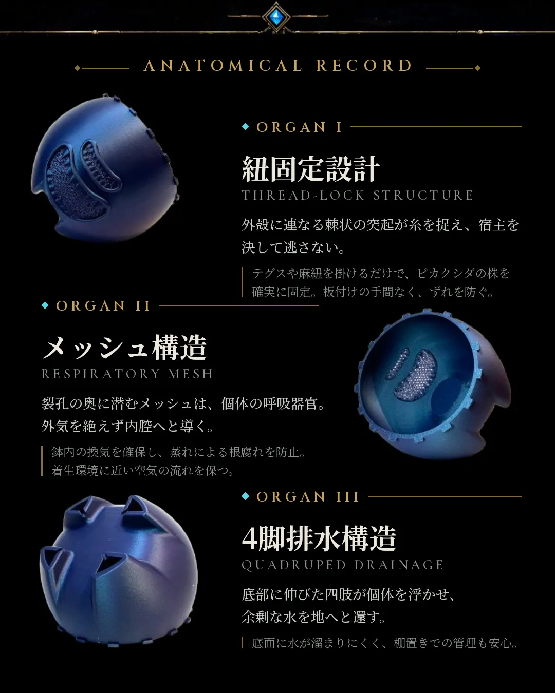 ANATOMICAL RECORD