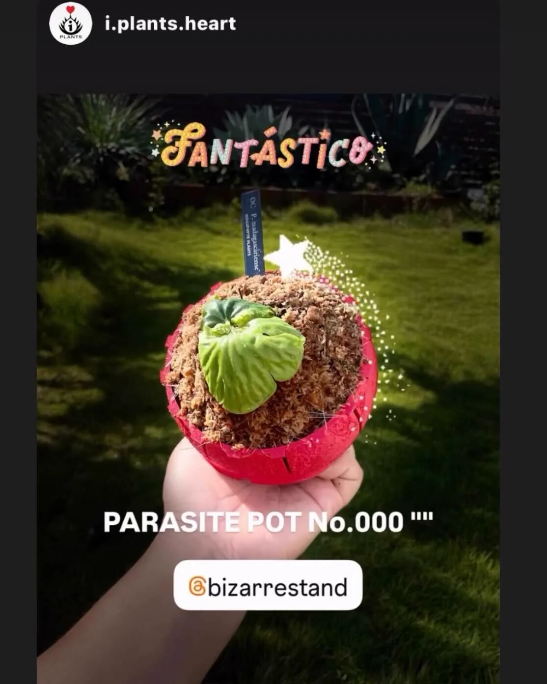 @i.plants.heart