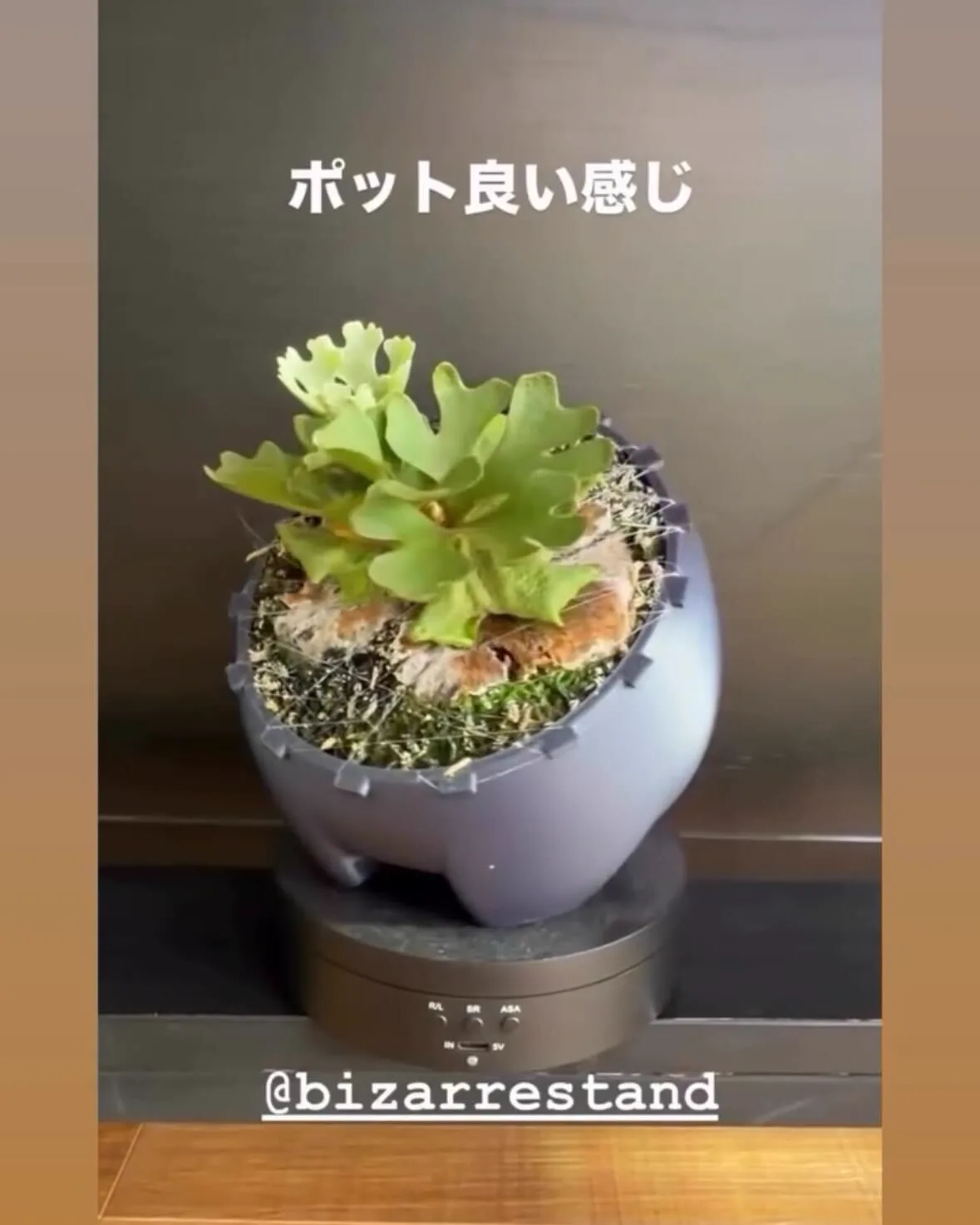@zutto_kin